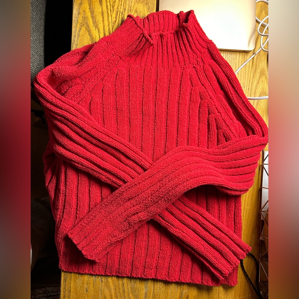 Red American Eagle Chenille Turtleneck